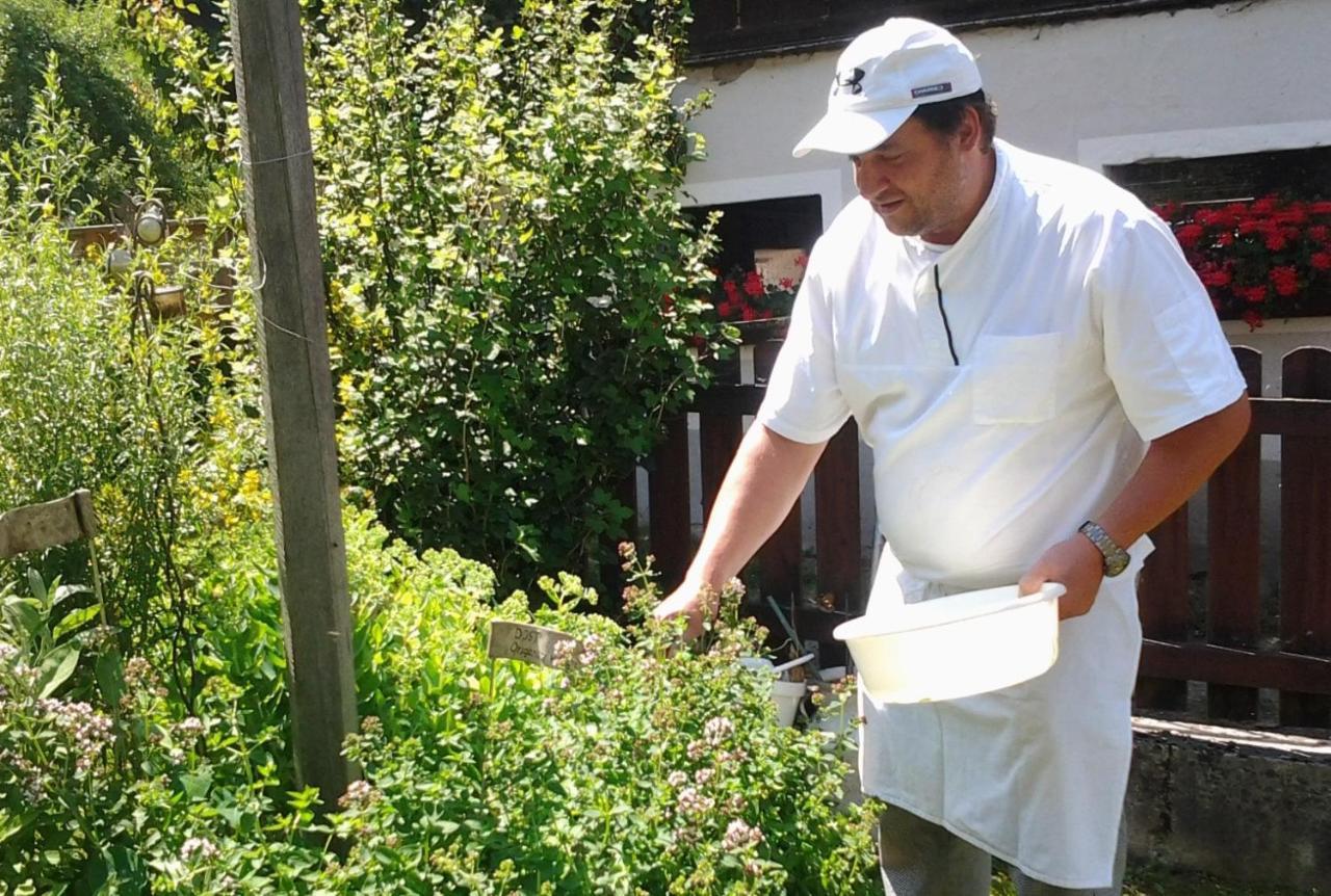 Bio-Bauernhof-Hotel Matlschweiger Lassing  Zewnętrze zdjęcie