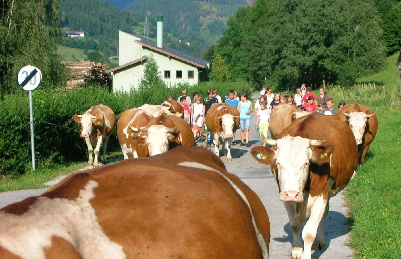 Bio-Bauernhof-Hotel Matlschweiger Lassing  Zewnętrze zdjęcie